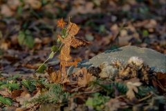12-12-_2019_21-45-10