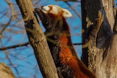 19-12-_2019_10-25-42