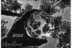 14-08-_2019_20-49-58