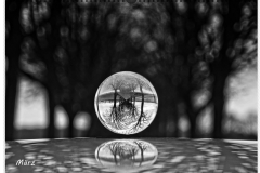 14-08-_2019_20-51-11