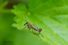 03-05-_2020_19-54-45