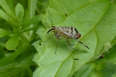 03-05-_2020_19-58-05