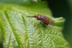 03-05-_2020_20-07-37