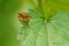 03-05-_2020_20-13-04