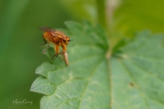 03-05-_2020_20-17-39