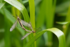 03-05-_2020_20-30-35