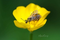 03-05-_2020_20-36-51