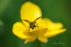 03-05-_2020_20-41-13