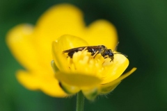 03-05-_2020_20-46-51