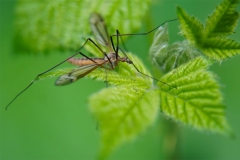 03-05-_2020_20-57-10