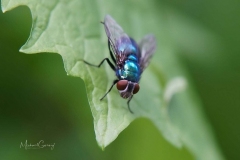 03-05-_2020_21-05-07