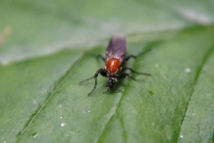 03-05-_2020_21-12-29