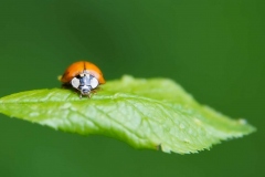 03-05-_2020_21-20-40