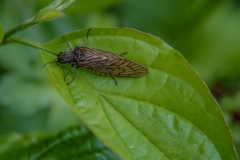 03-05-_2020_21-32-47