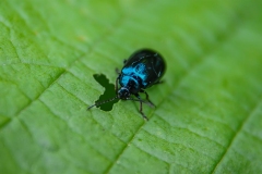 03-05-_2020_21-42-30