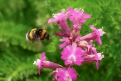 08-05-_2020_19-52-24