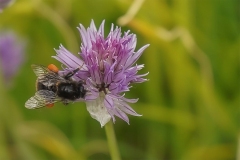 08-05-_2020_20-13-44