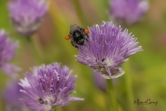 08-05-_2020_20-23-15