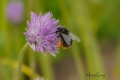 08-05-_2020_20-33-54