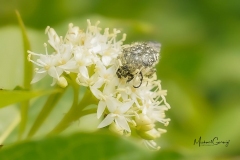 08-05-_2020_20-45-21