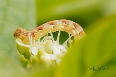 08-05-_2020_20-55-04