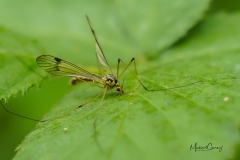 08-05-_2020_21-13-41