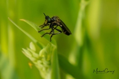 08-05-_2020_21-20-43