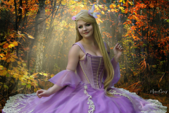 26-12-_2019_21-13-45-1