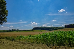 14-07-_2020_12-47-38