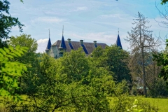14-07-_2020_13-00-02
