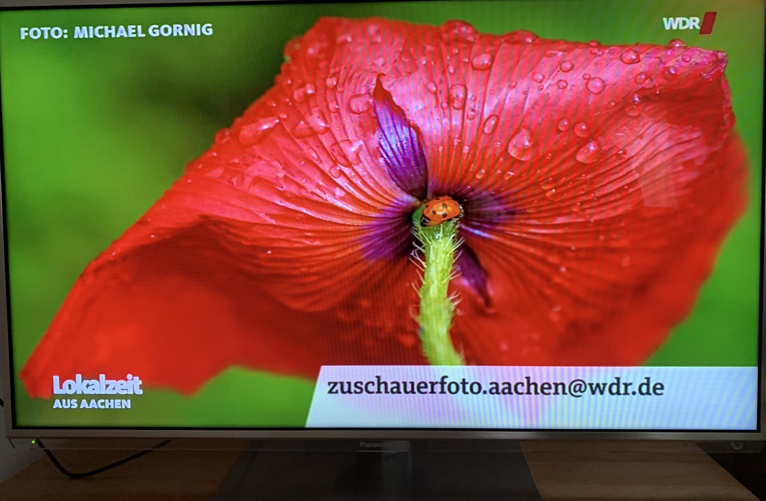 Mal wieder in der Lokalzeit Aachen