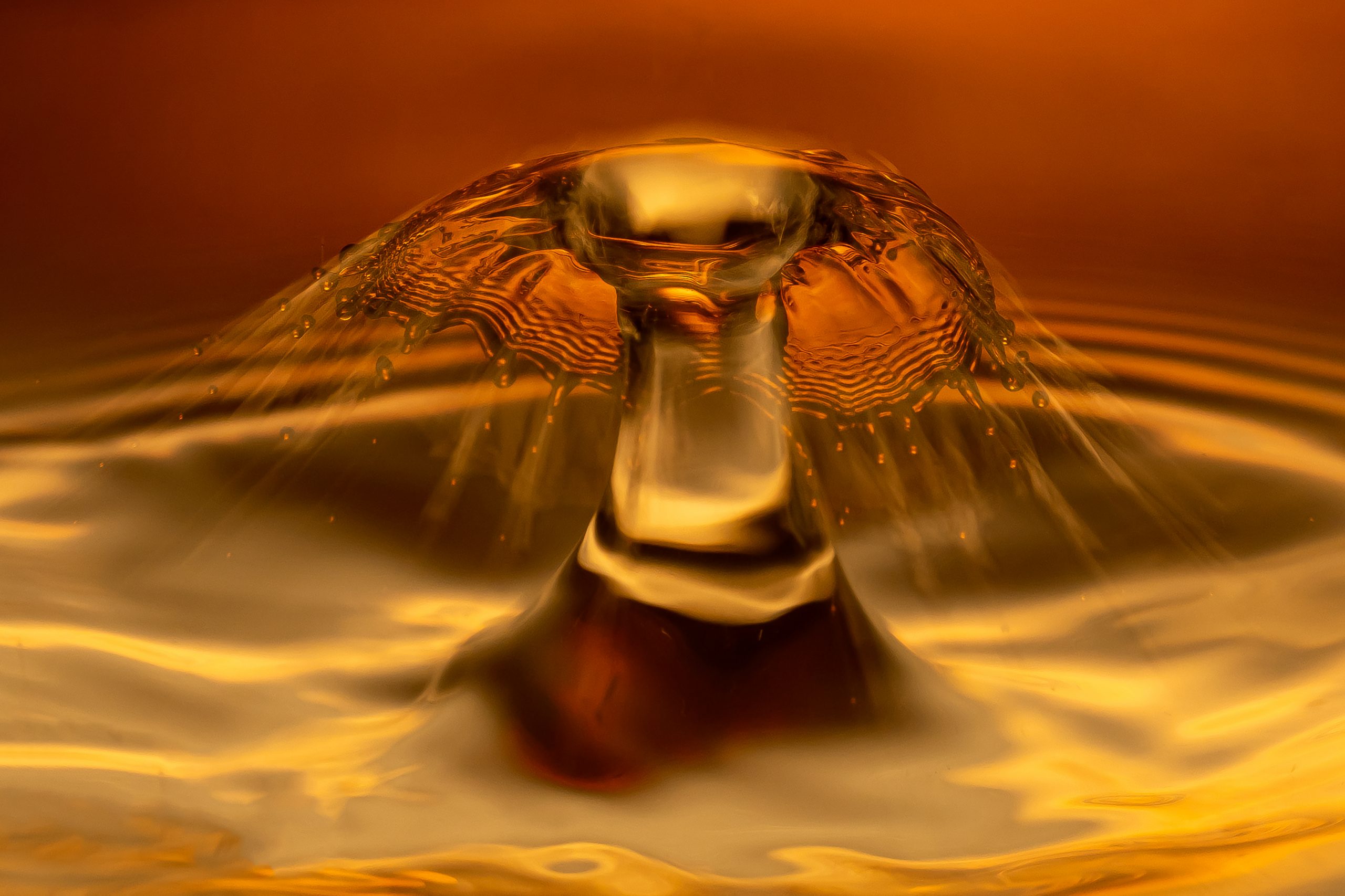Wassertropfen-Fotografie